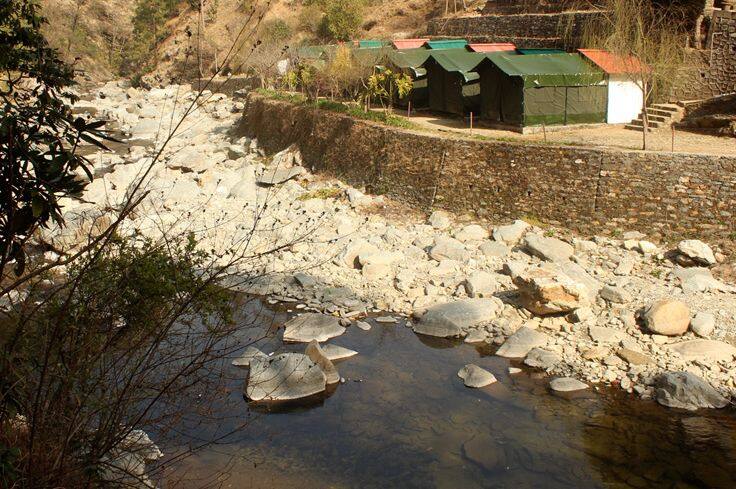 Camp Pine Riviera, Nainital 2